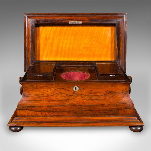 ANTIQUE SARCOPHAGUS LOOSE LEAF TEA CADDY DRAWING ROOM ENGLISH REGENCY C1820 - ADDITIONAL PHOTO 2