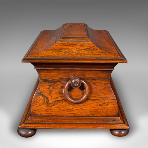 ANTIQUE SARCOPHAGUS LOOSE LEAF TEA CADDY DRAWING ROOM ENGLISH REGENCY C1820 - ADDITIONAL PHOTO 3