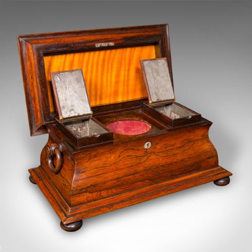 ANTIQUE SARCOPHAGUS LOOSE LEAF TEA CADDY DRAWING ROOM ENGLISH REGENCY C1820 - ADDITIONAL PHOTO 5