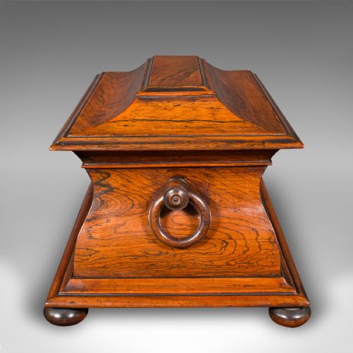 ANTIQUE SARCOPHAGUS LOOSE LEAF TEA CADDY DRAWING ROOM ENGLISH REGENCY C1820 - ADDITIONAL PHOTO 6