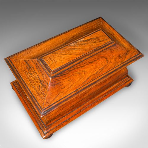 ANTIQUE SARCOPHAGUS LOOSE LEAF TEA CADDY DRAWING ROOM ENGLISH REGENCY C1820 - ADDITIONAL PHOTO 7
