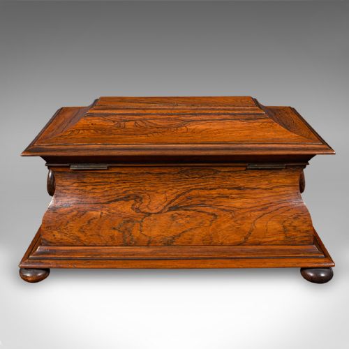 ANTIQUE SARCOPHAGUS LOOSE LEAF TEA CADDY DRAWING ROOM ENGLISH REGENCY C1820 - ADDITIONAL PHOTO 8