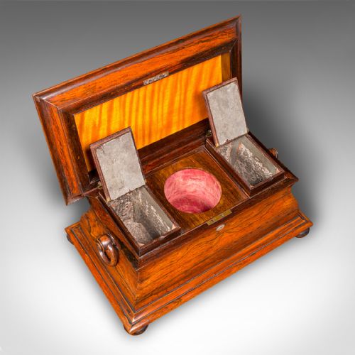 ANTIQUE SARCOPHAGUS LOOSE LEAF TEA CADDY DRAWING ROOM ENGLISH REGENCY C1820 - ADDITIONAL PHOTO 9