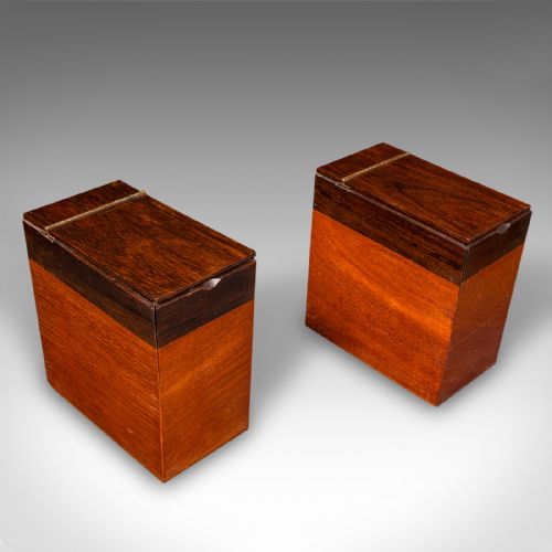 ANTIQUE SARCOPHAGUS LOOSE LEAF TEA CADDY DRAWING ROOM ENGLISH REGENCY C1820 - ADDITIONAL PHOTO 10