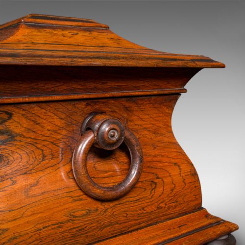 ANTIQUE SARCOPHAGUS LOOSE LEAF TEA CADDY DRAWING ROOM ENGLISH REGENCY C1820 - ADDITIONAL PHOTO 11