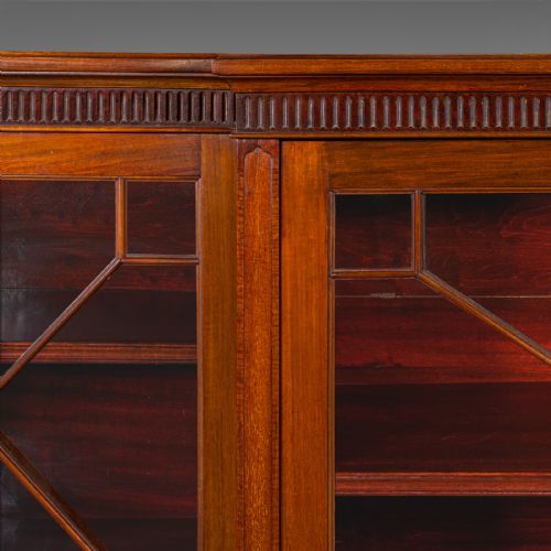 LARGE ANTIQUE BREAKFRONT BOOKCASE ENGLISH CABINET GEORGIAN REVIVAL VICTORIAN - ADDITIONAL PHOTO 8