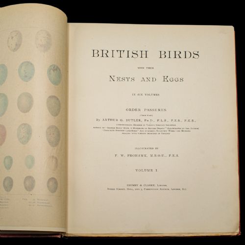 fig 2. A stack of six Victorian cloth-bound volumes titled British Birds with Their Nests and Eggs featuring red covers and gilt lettering.