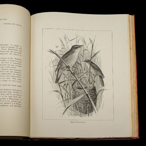 fig 4. A stack of six Victorian cloth-bound volumes titled British Birds with Their Nests and Eggs featuring red covers and gilt lettering.