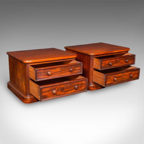 PAIR OF ANTIQUE COLLECTOR'S CHESTS ENGLISH SPECIMEN CASES VICTORIAN C1870 - ADDITIONAL PHOTO 1