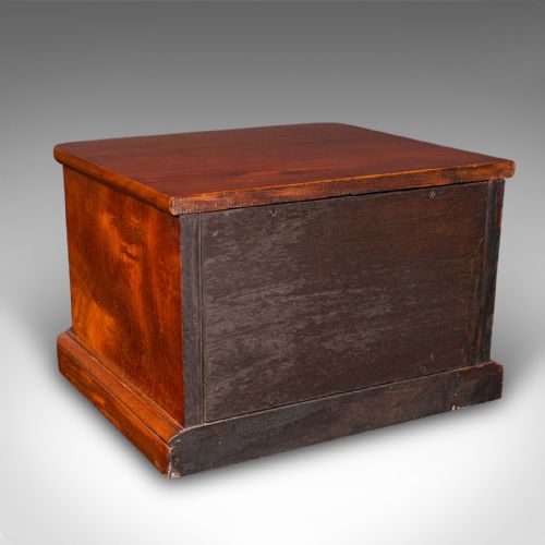 PAIR OF ANTIQUE COLLECTOR'S CHESTS ENGLISH SPECIMEN CASES VICTORIAN C1870 - ADDITIONAL PHOTO 2