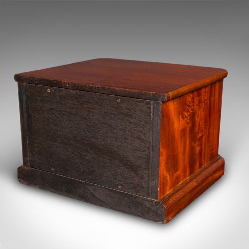 PAIR OF ANTIQUE COLLECTOR'S CHESTS ENGLISH SPECIMEN CASES VICTORIAN C1870 - ADDITIONAL PHOTO 3