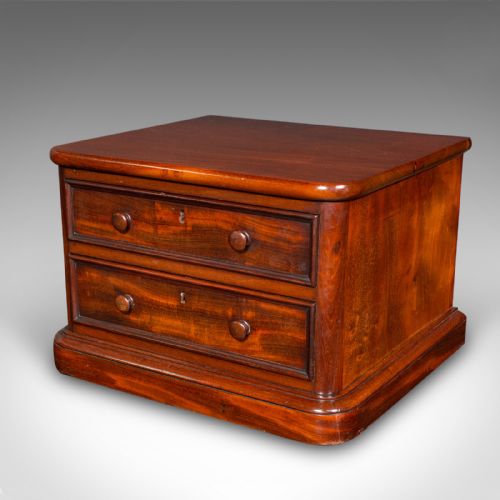 PAIR OF ANTIQUE COLLECTOR'S CHESTS ENGLISH SPECIMEN CASES VICTORIAN C1870 - ADDITIONAL PHOTO 5
