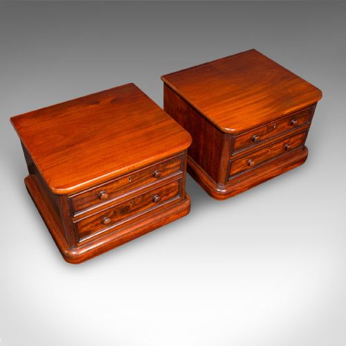 PAIR OF ANTIQUE COLLECTOR'S CHESTS ENGLISH SPECIMEN CASES VICTORIAN C1870 - ADDITIONAL PHOTO 6