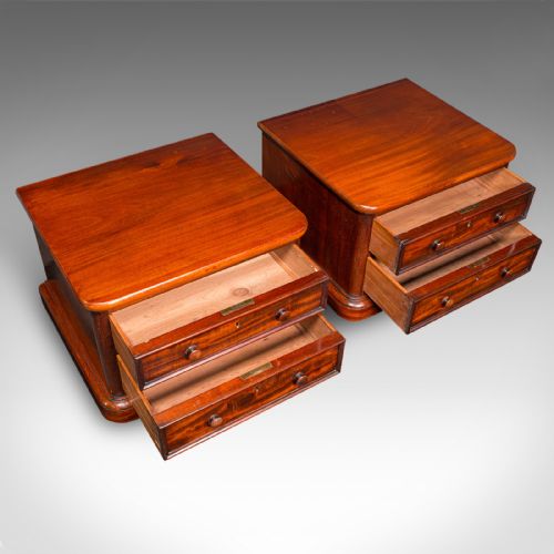 PAIR OF ANTIQUE COLLECTOR'S CHESTS ENGLISH SPECIMEN CASES VICTORIAN C1870 - ADDITIONAL PHOTO 7