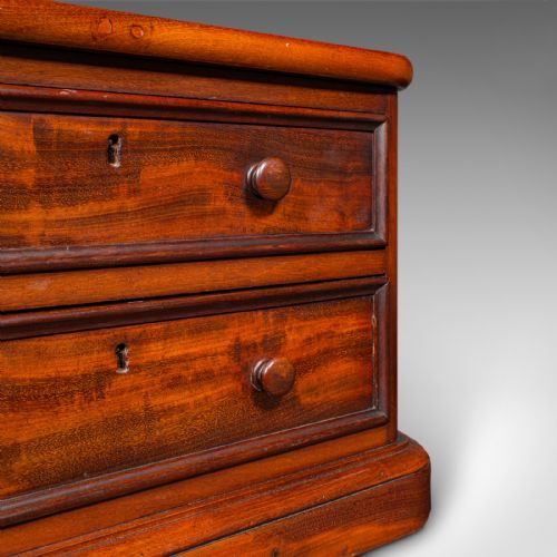 PAIR OF ANTIQUE COLLECTOR'S CHESTS ENGLISH SPECIMEN CASES VICTORIAN C1870 - ADDITIONAL PHOTO 8
