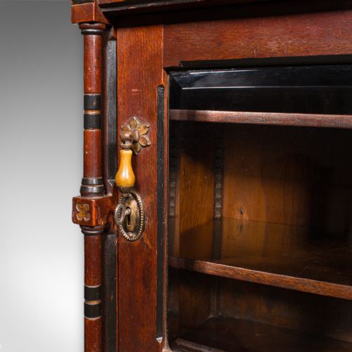 ANTIQUE RECEPTION HALL CABINET ENGLISH CUPBOARD AESTHETIC PERIOD VICTORIAN - ADDITIONAL PHOTO 6