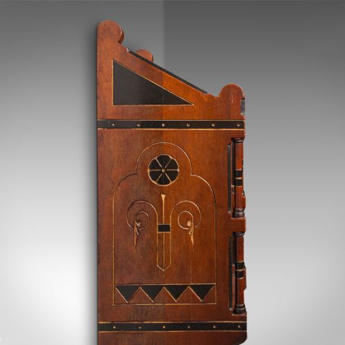 ANTIQUE RECEPTION HALL CABINET ENGLISH CUPBOARD AESTHETIC PERIOD VICTORIAN - ADDITIONAL PHOTO 8