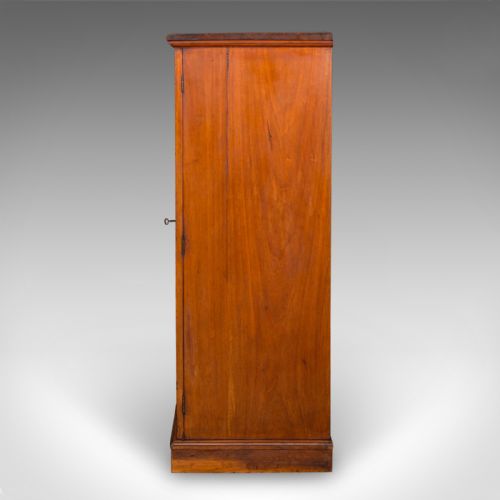 ANTIQUE WELLINGTON CHEST ENGLISH WALNUT SPECIMEN COLLECTOR'S DRAWERS VICTORIAN - ADDITIONAL PHOTO 7