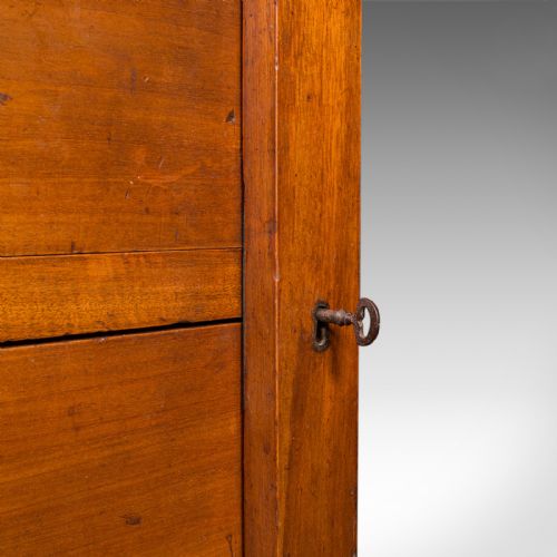 ANTIQUE WELLINGTON CHEST ENGLISH WALNUT SPECIMEN COLLECTOR'S DRAWERS VICTORIAN - ADDITIONAL PHOTO 9