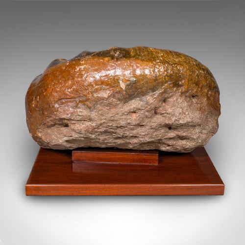 fig 3. A large, spiral-coiled ammonite fossil with defined ribbing mounted on a square polished hardwood base.