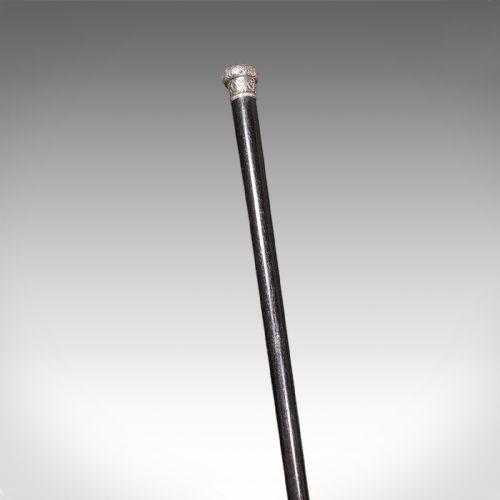 ANTIQUE DANDYS WALKING CANE ENGLISH STICK EBONISED VICTORIAN 1889 HALLMARK - ADDITIONAL PHOTO 1