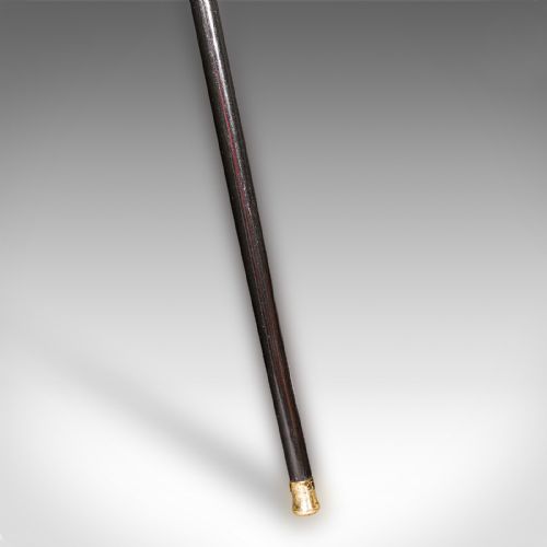 ANTIQUE DANDYS WALKING CANE ENGLISH STICK EBONISED VICTORIAN 1889 HALLMARK - ADDITIONAL PHOTO 2