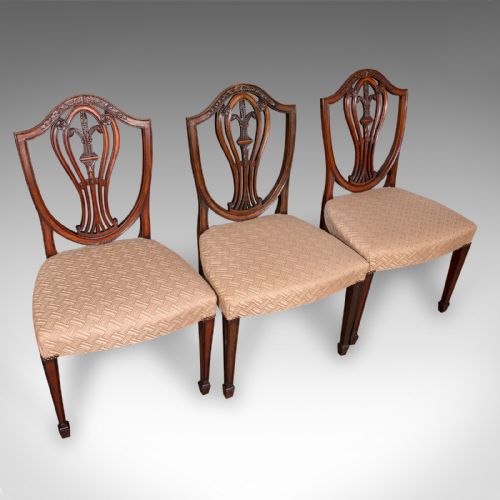 fig 2. Set of 12 Antique Dining Chairs, English, Carver, Seat, Hepplewhite, Edwardian
