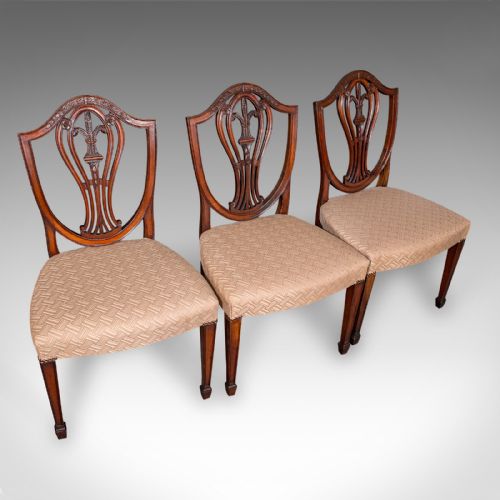 fig 3. Set of 12 Antique Dining Chairs, English, Carver, Seat, Hepplewhite, Edwardian