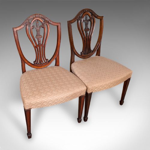 fig 5. Set of 12 Antique Dining Chairs, English, Carver, Seat, Hepplewhite, Edwardian