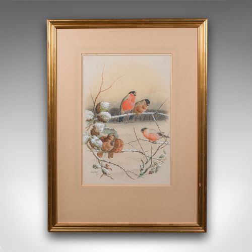 ANTIQUE WATERCOLOUR FINCH PAINTING ENGLISH SCHOOL ART HARRY BRIGHT VICTORIAN - ADDITIONAL PHOTO 1