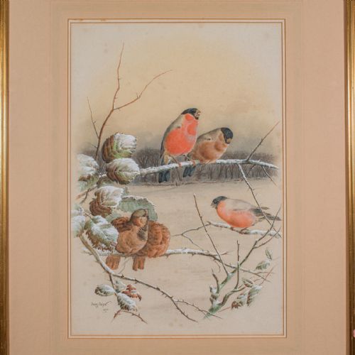 ANTIQUE WATERCOLOUR FINCH PAINTING ENGLISH SCHOOL ART HARRY BRIGHT VICTORIAN - ADDITIONAL PHOTO 2
