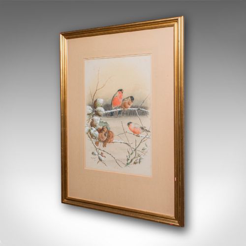 ANTIQUE WATERCOLOUR FINCH PAINTING ENGLISH SCHOOL ART HARRY BRIGHT VICTORIAN - ADDITIONAL PHOTO 4