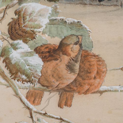 ANTIQUE WATERCOLOUR FINCH PAINTING ENGLISH SCHOOL ART HARRY BRIGHT VICTORIAN - ADDITIONAL PHOTO 6