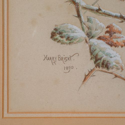 ANTIQUE WATERCOLOUR FINCH PAINTING ENGLISH SCHOOL ART HARRY BRIGHT VICTORIAN - ADDITIONAL PHOTO 7