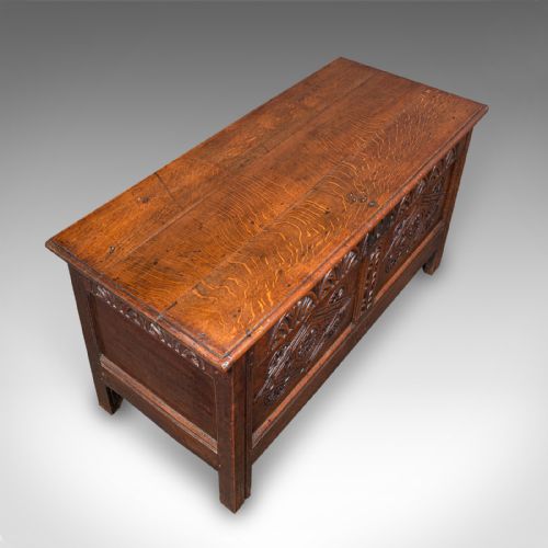 LARGE ANTIQUE CARVED COFFER ENGLISH OAK BLANKET CHEST WILLIAM III CIRCA 1700 - ADDITIONAL PHOTO 7