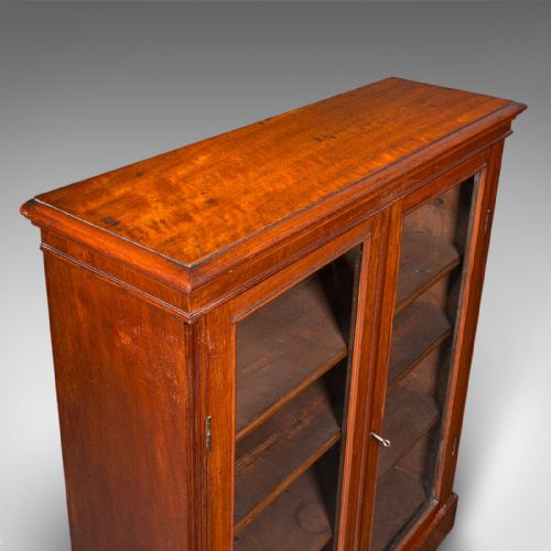ANTIQUE DISPLAY BOOKCASE ENGLISH GLAZED BOOK CABINET HOME LIBRARY VICTORIAN - ADDITIONAL PHOTO 7