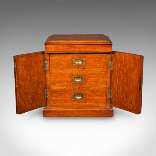 SMALL ANTIQUE SPECIMEN CASE ENGLISH OAK COLLECTORS CABINET VICTORIAN 1880 - ADDITIONAL PHOTO 2