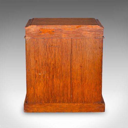 SMALL ANTIQUE SPECIMEN CASE ENGLISH OAK COLLECTORS CABINET VICTORIAN 1880 - ADDITIONAL PHOTO 3