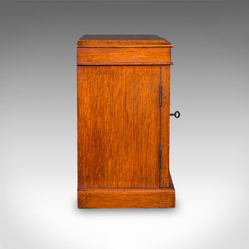 SMALL ANTIQUE SPECIMEN CASE ENGLISH OAK COLLECTORS CABINET VICTORIAN 1880 - ADDITIONAL PHOTO 5