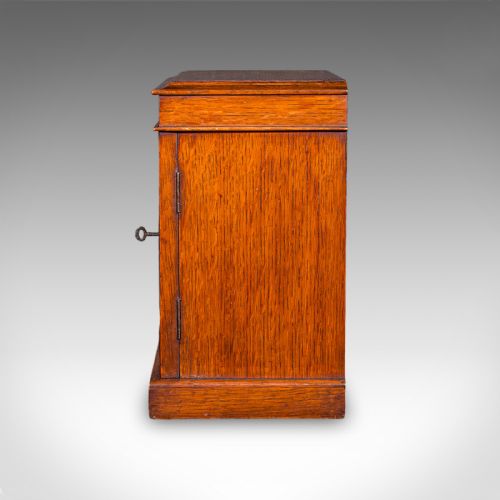 SMALL ANTIQUE SPECIMEN CASE ENGLISH OAK COLLECTORS CABINET VICTORIAN 1880 - ADDITIONAL PHOTO 6
