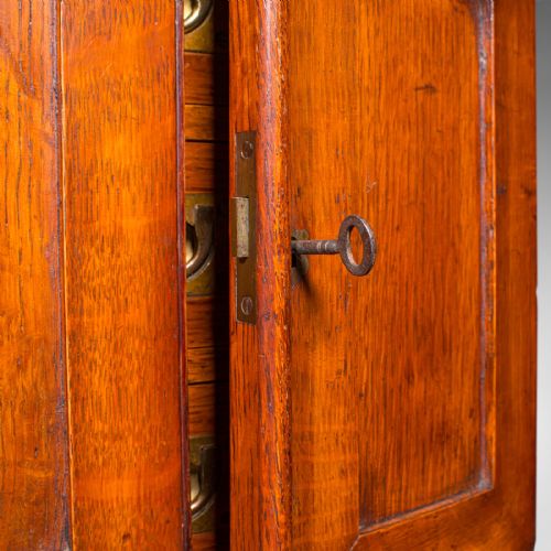 SMALL ANTIQUE SPECIMEN CASE ENGLISH OAK COLLECTORS CABINET VICTORIAN 1880 - ADDITIONAL PHOTO 9