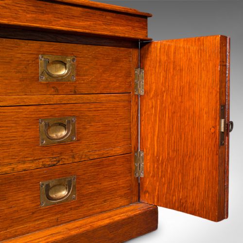 SMALL ANTIQUE SPECIMEN CASE ENGLISH OAK COLLECTORS CABINET VICTORIAN 1880 - ADDITIONAL PHOTO 10