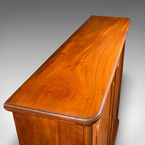 LARGE ANTIQUE CAPTAIN'S BOOKCASE ENGLISH ENCLOSED BOOK CABINET LATE VICTORIAN - ADDITIONAL PHOTO 7