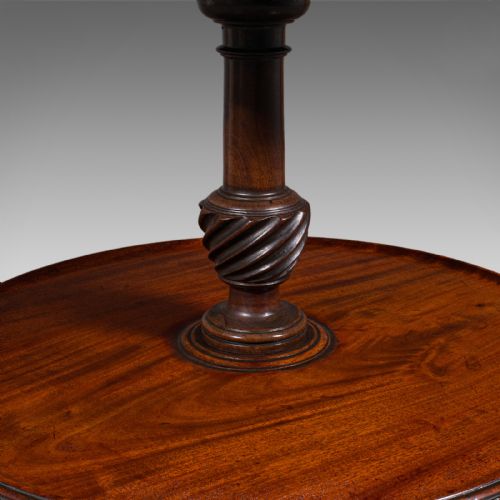 ANTIQUE DUMB WAITER ENGLISH TWO TIER AFTERNOON TEA SERVING STAND REGENCY 1820 - ADDITIONAL PHOTO 9