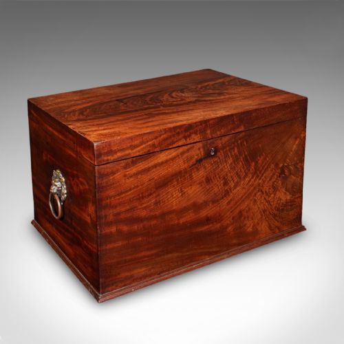 ANTIQUE HUNTING DAY CELLARETTE IRISH WINE STORAGE BOX GILLINGTONS REGENCY