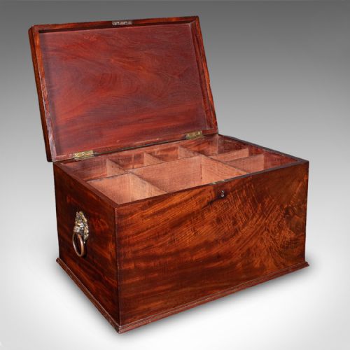 ANTIQUE HUNTING DAY CELLARETTE IRISH WINE STORAGE BOX GILLINGTONS REGENCY - ADDITIONAL PHOTO 1