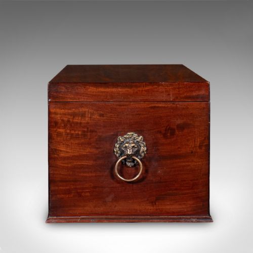 ANTIQUE HUNTING DAY CELLARETTE IRISH WINE STORAGE BOX GILLINGTONS REGENCY - ADDITIONAL PHOTO 2