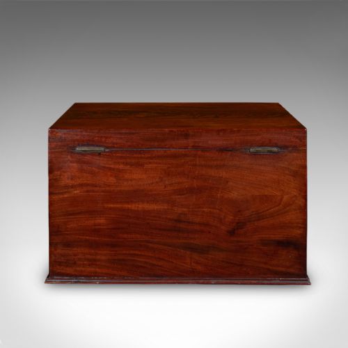 ANTIQUE HUNTING DAY CELLARETTE IRISH WINE STORAGE BOX GILLINGTONS REGENCY - ADDITIONAL PHOTO 3