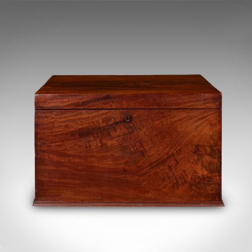 ANTIQUE HUNTING DAY CELLARETTE IRISH WINE STORAGE BOX GILLINGTONS REGENCY - ADDITIONAL PHOTO 4