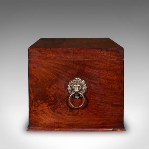 ANTIQUE HUNTING DAY CELLARETTE IRISH WINE STORAGE BOX GILLINGTONS REGENCY - ADDITIONAL PHOTO 5
